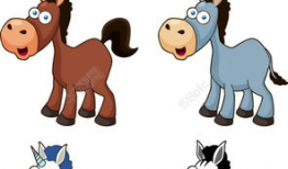 毛驴漫画,趣味横生的动物世界